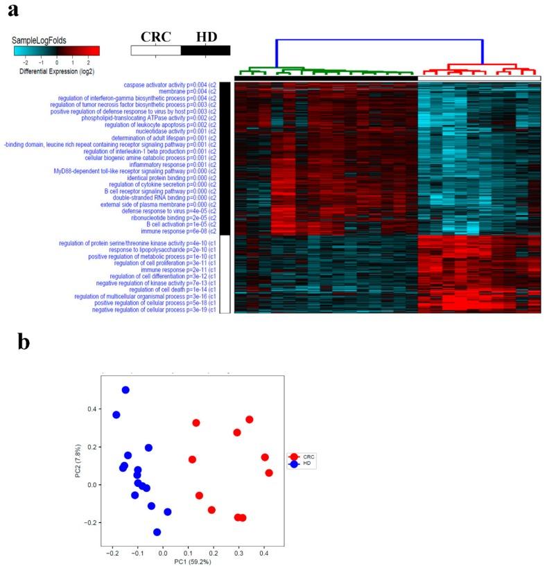 https://cdn.ncbi.nlm.nih.gov/pmc/blobs/eec4/6966620/5c54528e0de9/cancers-11-01994-g001.jpg