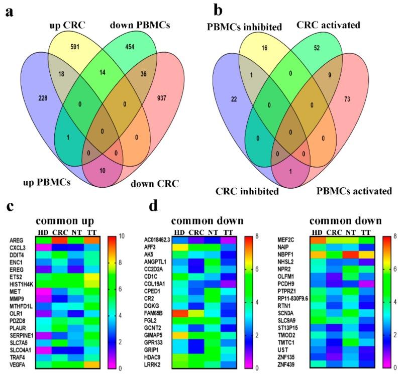 https://cdn.ncbi.nlm.nih.gov/pmc/blobs/eec4/6966620/a6943d9dfce9/cancers-11-01994-g008.jpg