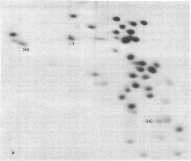 https://cdn.ncbi.nlm.nih.gov/pmc/blobs/eec5/393139/8040671f734f/pnas00022-0428-a.jpg
