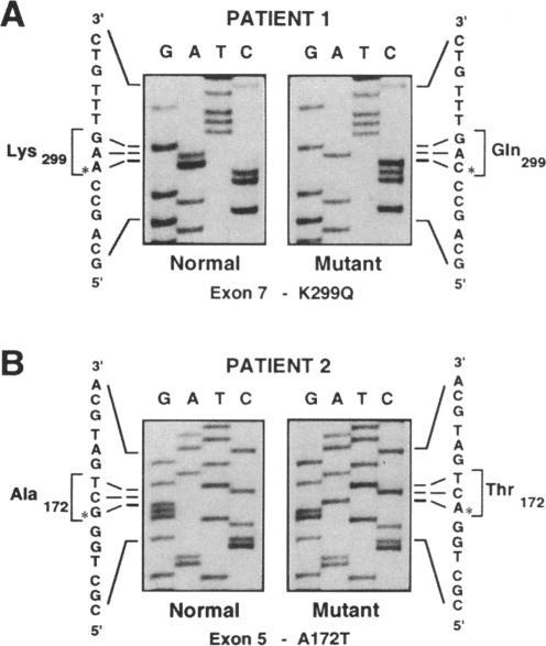 https://cdn.ncbi.nlm.nih.gov/pmc/blobs/eec6/185849/29ce06801280/jcinvest00016-0409-b.jpg