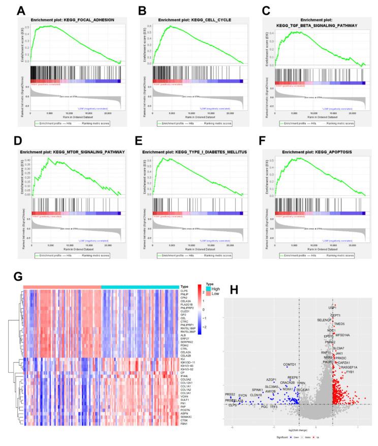 https://cdn.ncbi.nlm.nih.gov/pmc/blobs/eec6/9181681/0a7b990a1bc4/jcm-11-03101-g004.jpg