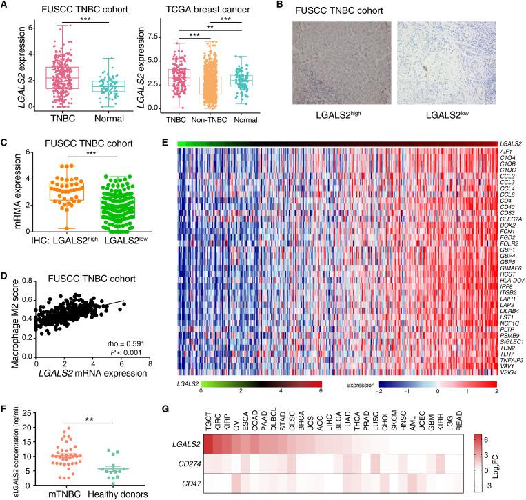 https://cdn.ncbi.nlm.nih.gov/pmc/blobs/eec8/9242595/6f353ed20784/sciadv.abl8247-f8.jpg
