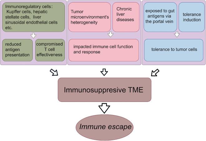 https://cdn.ncbi.nlm.nih.gov/pmc/blobs/eeca/11409253/8538113fe8f5/fimmu-15-1460282-g002.jpg