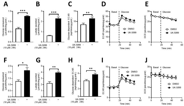 https://cdn.ncbi.nlm.nih.gov/pmc/blobs/eecc/8428345/0b9c831d521c/cancers-13-04278-g004.jpg