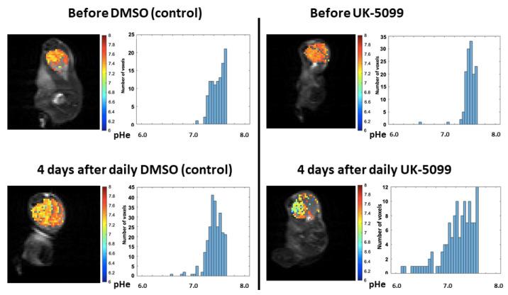 https://cdn.ncbi.nlm.nih.gov/pmc/blobs/eecc/8428345/102c27cf379e/cancers-13-04278-g005.jpg