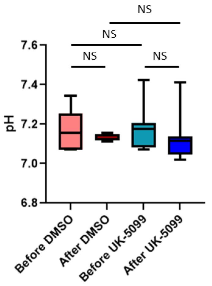 https://cdn.ncbi.nlm.nih.gov/pmc/blobs/eecc/8428345/a1a33df27a64/cancers-13-04278-g008.jpg