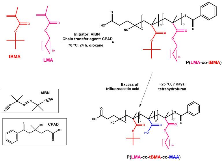 https://cdn.ncbi.nlm.nih.gov/pmc/blobs/eecd/12157223/a68975cab53a/polymers-17-01473-sch001.jpg