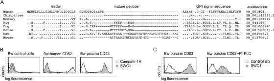 https://cdn.ncbi.nlm.nih.gov/pmc/blobs/eecf/3334673/a4857296036a/gr4.jpg