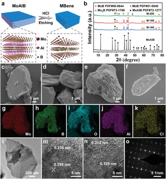 https://cdn.ncbi.nlm.nih.gov/pmc/blobs/eed1/11434212/767ad7ce88be/ADVS-11-2404178-g004.jpg