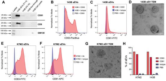 https://cdn.ncbi.nlm.nih.gov/pmc/blobs/eed1/12087298/328f70d5ddb8/JEV2-14-e70079-g002.jpg