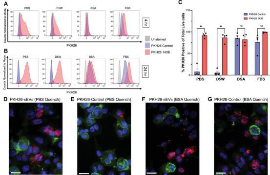 https://cdn.ncbi.nlm.nih.gov/pmc/blobs/eed1/12087298/77f62c3c2384/JEV2-14-e70079-g006.jpg