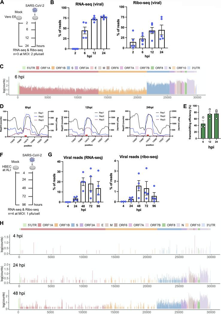 https://cdn.ncbi.nlm.nih.gov/pmc/blobs/eed1/9239271/a27b0140fe77/mbio.00815-22-f001.jpg
