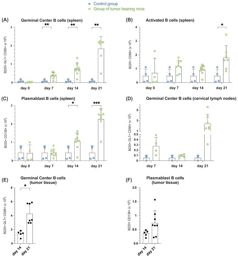https://cdn.ncbi.nlm.nih.gov/pmc/blobs/eed2/11720715/eab6febb6559/cells-14-00020-g002.jpg