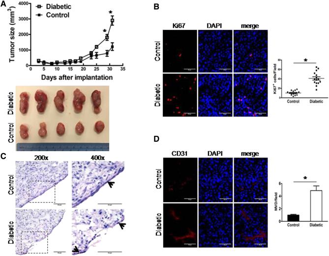 https://cdn.ncbi.nlm.nih.gov/pmc/blobs/eed2/6580091/96afe5d16646/gr7.jpg