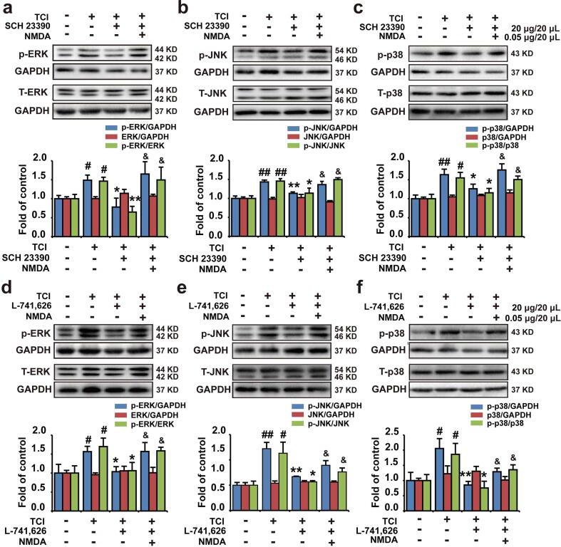 https://cdn.ncbi.nlm.nih.gov/pmc/blobs/eed2/7753228/489270cda463/gr3.jpg