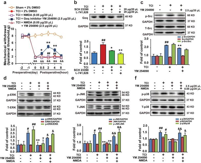 https://cdn.ncbi.nlm.nih.gov/pmc/blobs/eed2/7753228/a869f59c8807/gr5.jpg