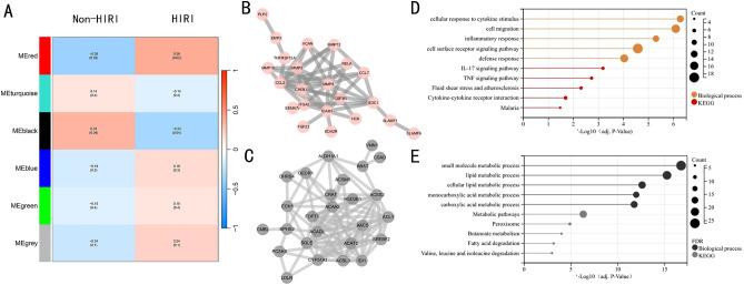 https://cdn.ncbi.nlm.nih.gov/pmc/blobs/eed3/10944831/c3cca66bfa48/41598_2024_57139_Fig3_HTML.jpg