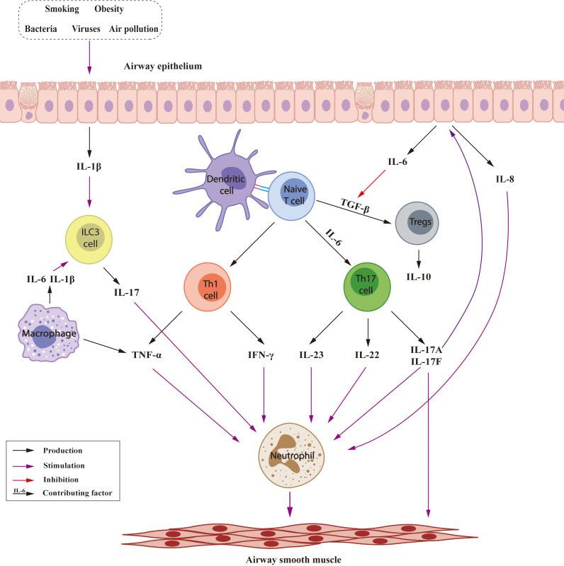 https://cdn.ncbi.nlm.nih.gov/pmc/blobs/eed3/11666451/bfbc5d3f1467/fimmu-15-1488570-g002.jpg