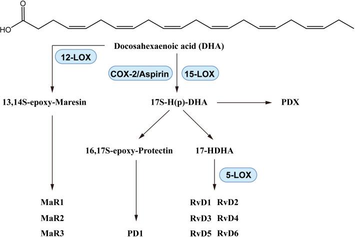 https://cdn.ncbi.nlm.nih.gov/pmc/blobs/eed3/11666451/d0af8533455d/fimmu-15-1488570-g005.jpg