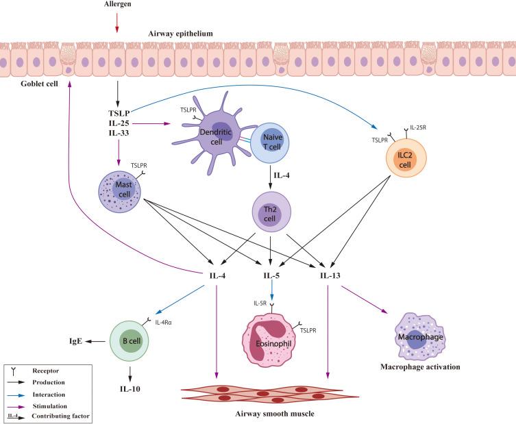 https://cdn.ncbi.nlm.nih.gov/pmc/blobs/eed3/11666451/ec8c73c9c404/fimmu-15-1488570-g001.jpg