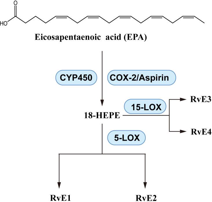 https://cdn.ncbi.nlm.nih.gov/pmc/blobs/eed3/11666451/f0145a29e9fd/fimmu-15-1488570-g006.jpg