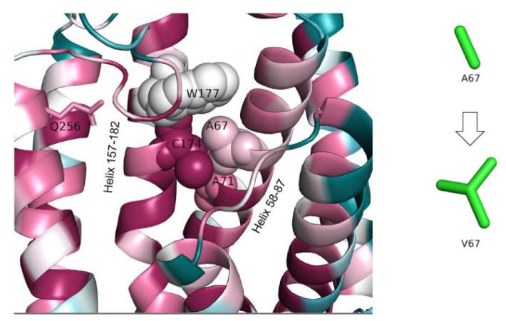 https://cdn.ncbi.nlm.nih.gov/pmc/blobs/eed3/9407845/196b14151933/genes-13-01393-g007.jpg