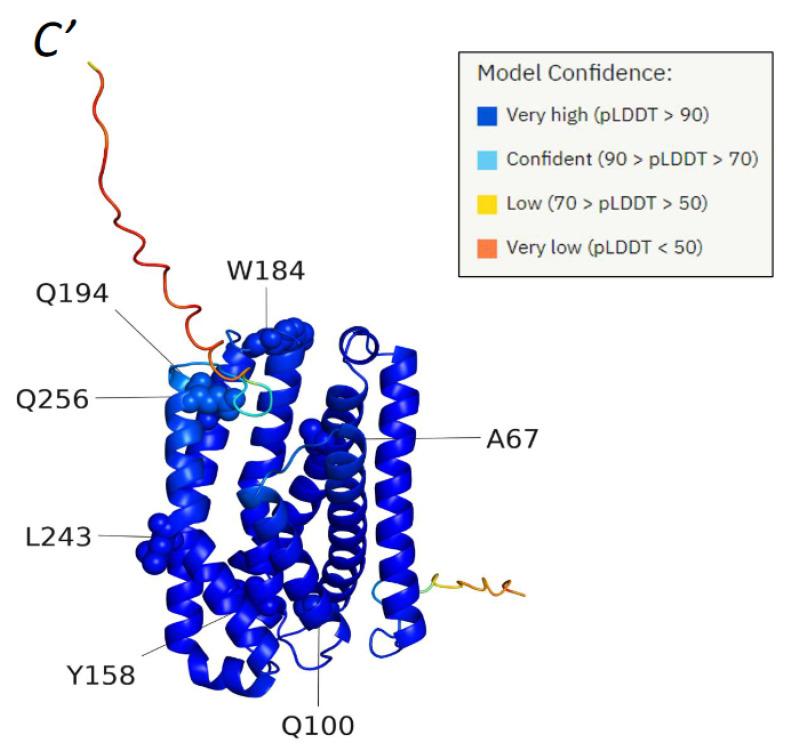 https://cdn.ncbi.nlm.nih.gov/pmc/blobs/eed3/9407845/7d9079a9c1b2/genes-13-01393-g002.jpg