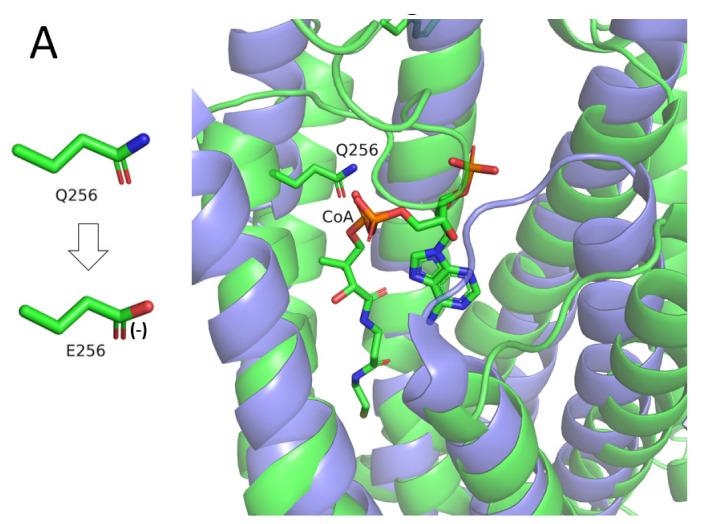 https://cdn.ncbi.nlm.nih.gov/pmc/blobs/eed3/9407845/b3e652711d7d/genes-13-01393-g004a.jpg
