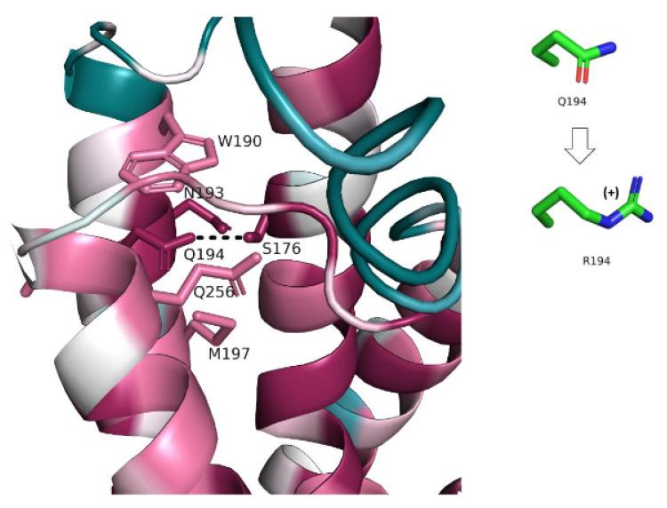 https://cdn.ncbi.nlm.nih.gov/pmc/blobs/eed3/9407845/bbaa25afc46c/genes-13-01393-g006.jpg