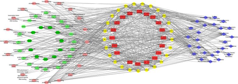 https://cdn.ncbi.nlm.nih.gov/pmc/blobs/eed4/10258995/1152c1b54e0f/12967_2023_4233_Fig4_HTML.jpg