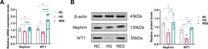 https://cdn.ncbi.nlm.nih.gov/pmc/blobs/eed4/10258995/7d2fe623cced/12967_2023_4233_Fig6_HTML.jpg