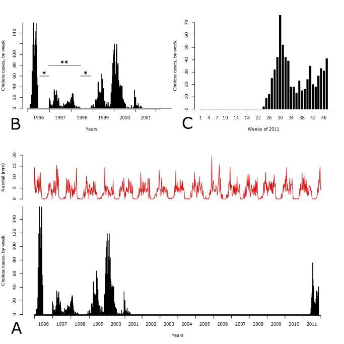 https://cdn.ncbi.nlm.nih.gov/pmc/blobs/eed4/3302056/56b9097a40e2/figure2bompanguevesenbeckh.jpg