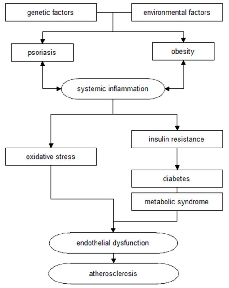 https://cdn.ncbi.nlm.nih.gov/pmc/blobs/eed4/8747310/18cf65b4a4f4/nutrients-14-00119-g002.jpg