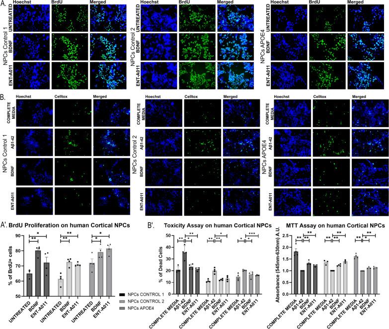 https://cdn.ncbi.nlm.nih.gov/pmc/blobs/eed5/11227723/13fb8bf61289/13287_2024_3818_Fig6_HTML.jpg