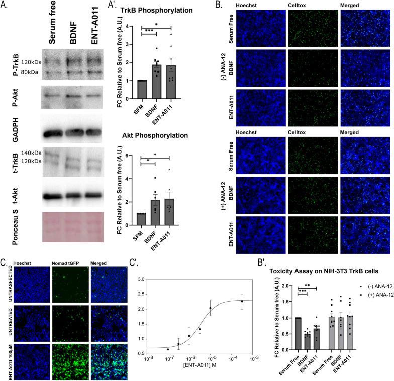 https://cdn.ncbi.nlm.nih.gov/pmc/blobs/eed5/11227723/b070f7bb0384/13287_2024_3818_Fig1_HTML.jpg