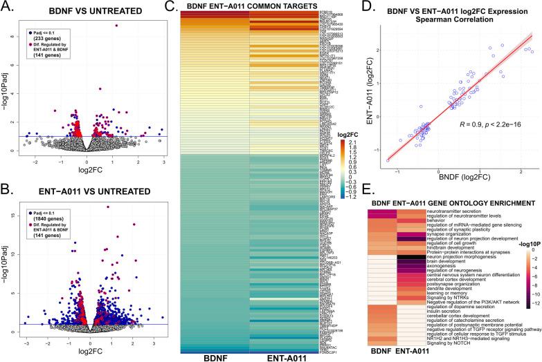 https://cdn.ncbi.nlm.nih.gov/pmc/blobs/eed5/11227723/bb4cb72db3c1/13287_2024_3818_Fig7_HTML.jpg
