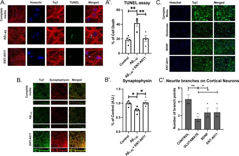 https://cdn.ncbi.nlm.nih.gov/pmc/blobs/eed5/11227723/c351053834d6/13287_2024_3818_Fig5_HTML.jpg