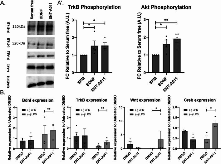https://cdn.ncbi.nlm.nih.gov/pmc/blobs/eed5/11227723/d6ff4b4de503/13287_2024_3818_Fig2_HTML.jpg