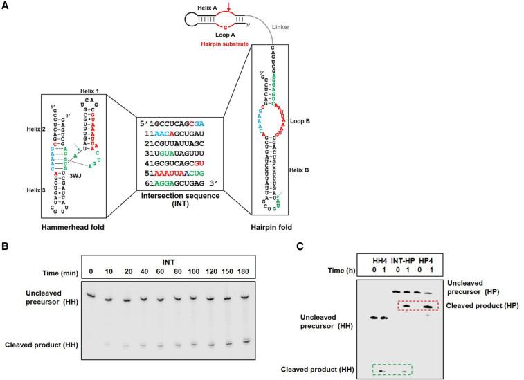 https://cdn.ncbi.nlm.nih.gov/pmc/blobs/eed9/8370743/1f40be84bb8b/1017f02.jpg