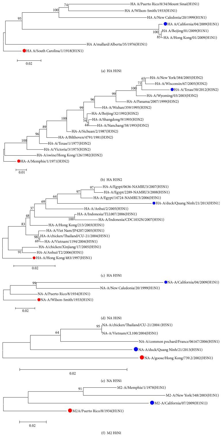 https://cdn.ncbi.nlm.nih.gov/pmc/blobs/eeda/4544958/3f2ad2738ca0/BMRI2015-813047.005.jpg