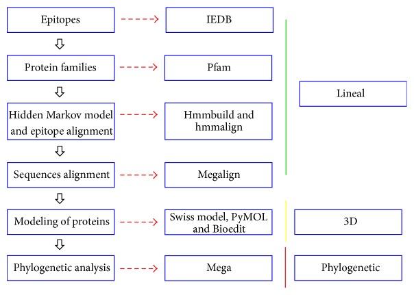 https://cdn.ncbi.nlm.nih.gov/pmc/blobs/eeda/4544958/429d83b0ad78/BMRI2015-813047.001.jpg