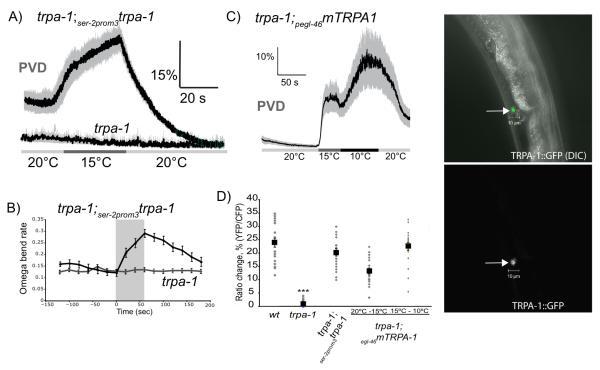 https://cdn.ncbi.nlm.nih.gov/pmc/blobs/eedb/2975101/4ad1b398d305/ukmss-30722-f0006.jpg