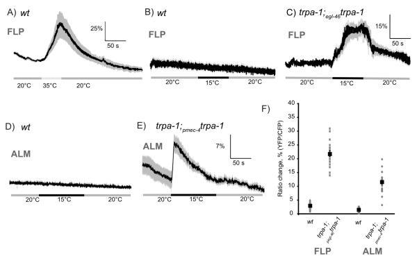 https://cdn.ncbi.nlm.nih.gov/pmc/blobs/eedb/2975101/636b44c7144f/ukmss-30722-f0007.jpg