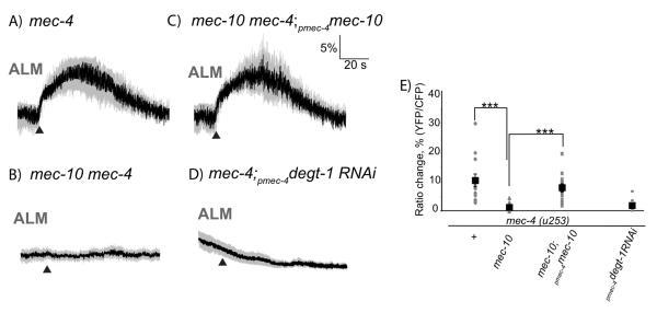 https://cdn.ncbi.nlm.nih.gov/pmc/blobs/eedb/2975101/b6fa9abdc765/ukmss-30722-f0005.jpg