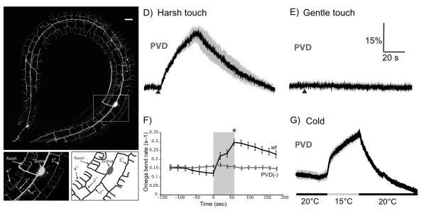 https://cdn.ncbi.nlm.nih.gov/pmc/blobs/eedb/2975101/c799417e1f50/ukmss-30722-f0001.jpg