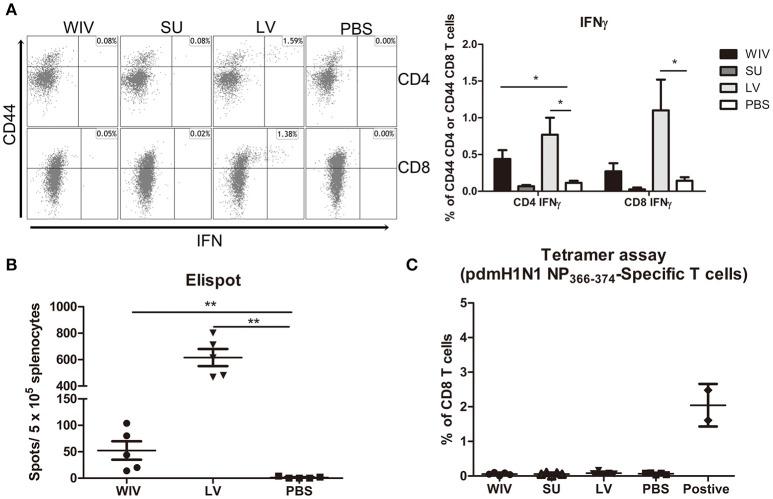 https://cdn.ncbi.nlm.nih.gov/pmc/blobs/eedd/6189474/c183b4b2327a/fimmu-09-02312-g0004.jpg