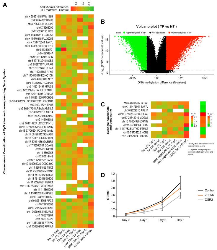 https://cdn.ncbi.nlm.nih.gov/pmc/blobs/eee5/11394788/179a6188fa10/ijms-25-09365-g007.jpg