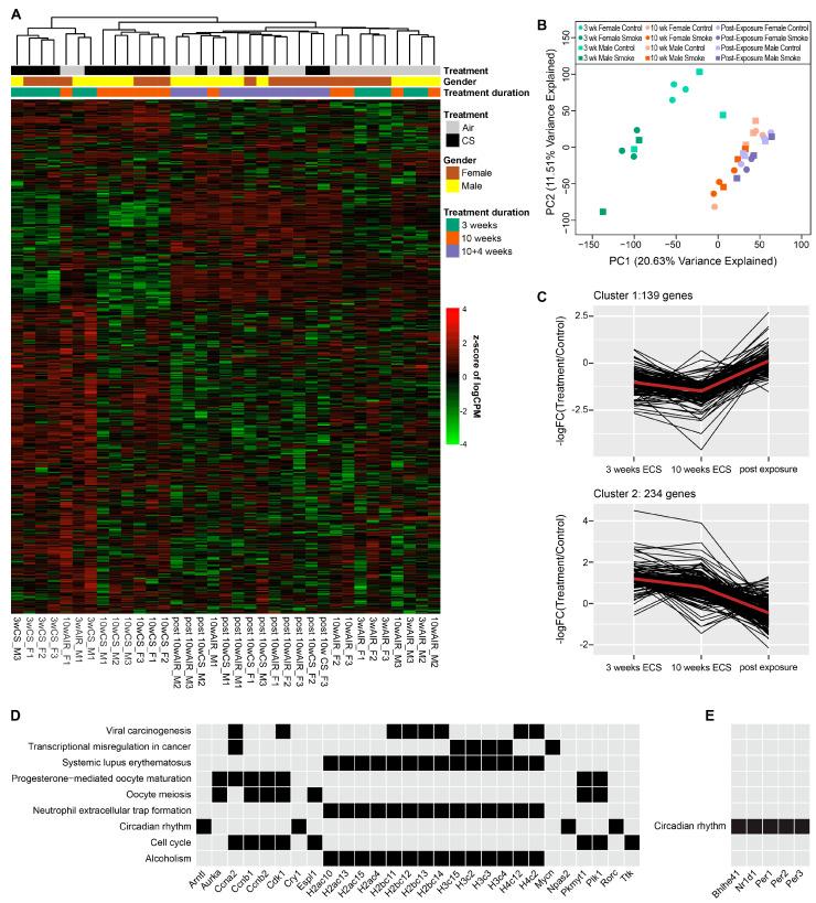 https://cdn.ncbi.nlm.nih.gov/pmc/blobs/eee5/11394788/32ceac67aa38/ijms-25-09365-g004.jpg