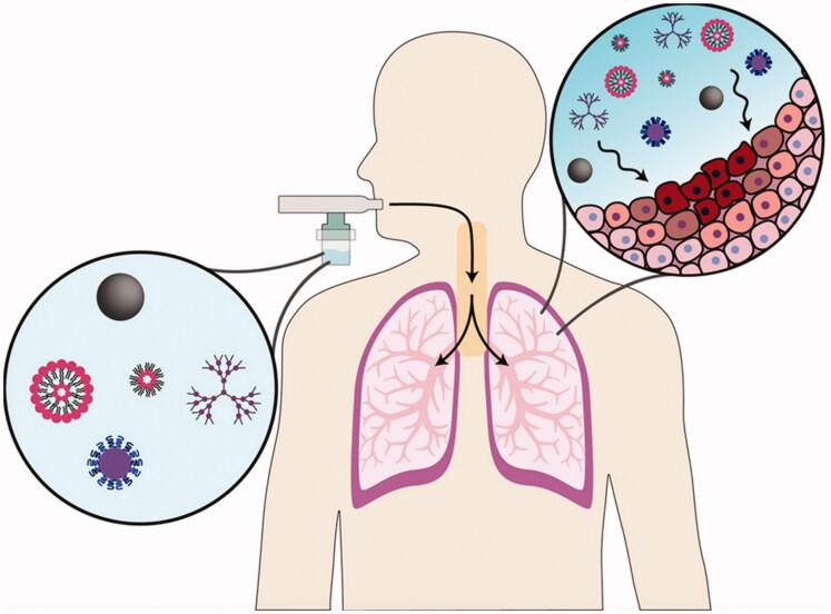 https://cdn.ncbi.nlm.nih.gov/pmc/blobs/eee5/8477964/8e9339f5eacb/IDRD_A_1981492_F0002_C.jpg
