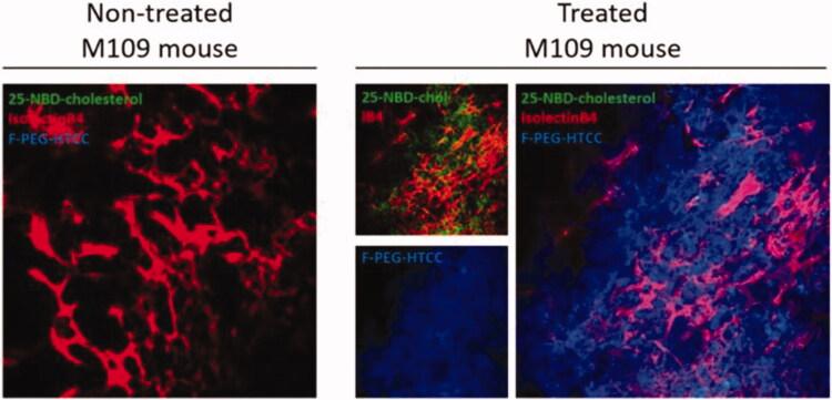 https://cdn.ncbi.nlm.nih.gov/pmc/blobs/eee5/8477964/9f38ad8ac53b/IDRD_A_1981492_F0003_C.jpg